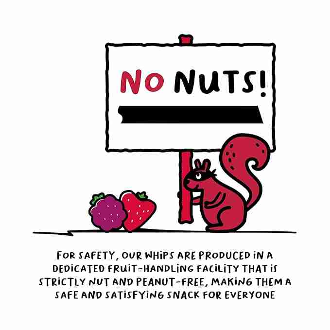 The FROOT Thief Real Fruit Snack Whips - Image 5